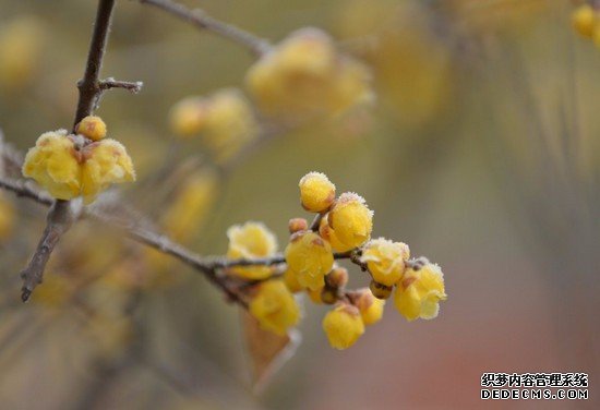 重庆医药科技学校有哪些专业及什么专业好