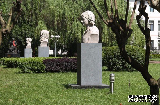 重庆护理职业学院有哪些专业及什么专业好