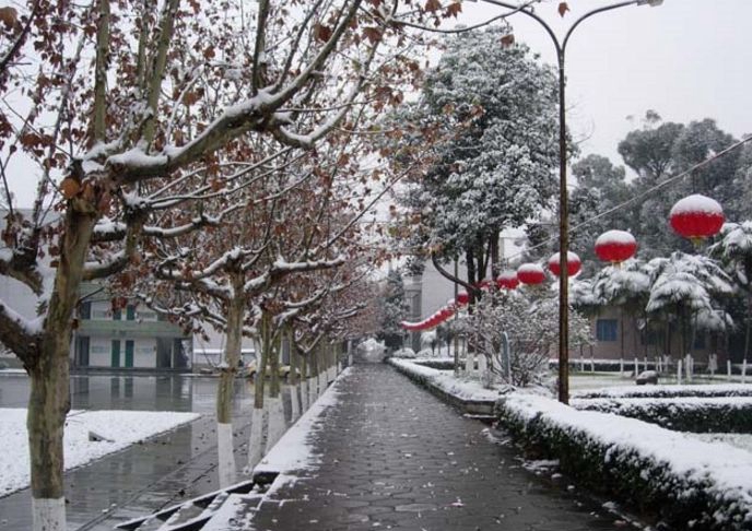 四川幼儿师范高等专科学校地址在哪里