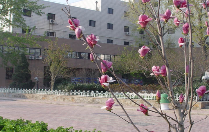 成都师范学院简介老师QQ及电话