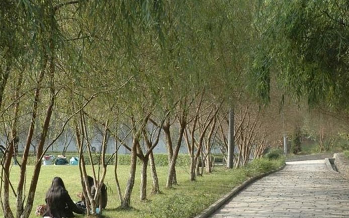 四川幼儿师范高等专科学校2019简介办电话及联系方式
