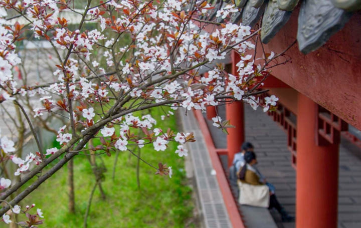 川南幼儿师范高等专科学校2019简介录取分数线