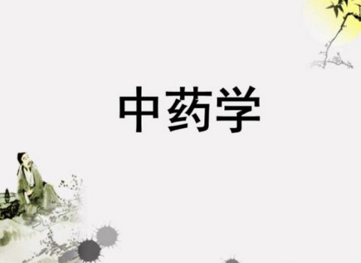 中药学专业