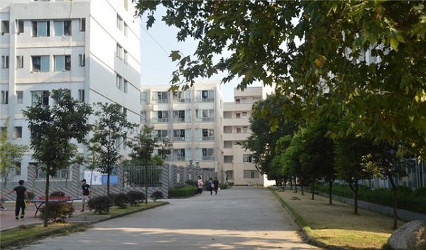 教学楼