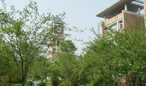 学校环境