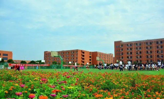 2019年女孩子学什么专业有前途