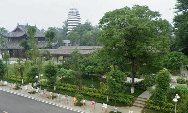 学校一景