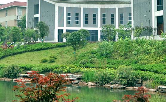 重庆市女子职业高级中学2019年分数线