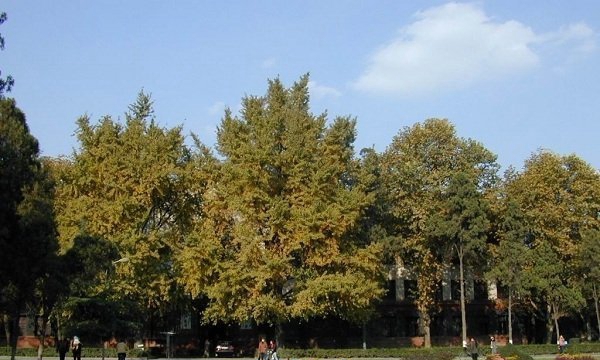 江苏赣榆中等专业学校就业率怎样_师资如何